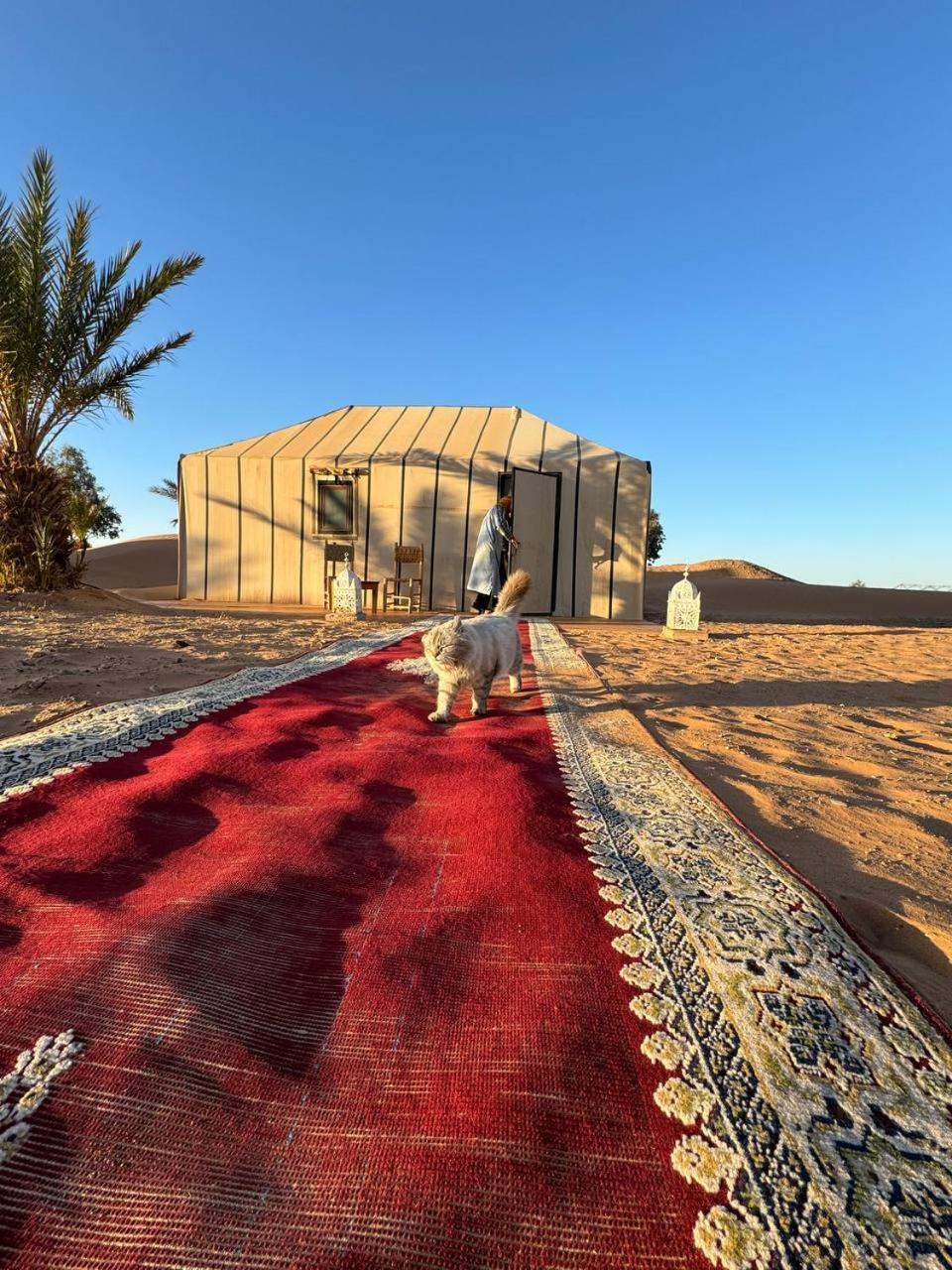 Luxury tent Spirit Luxury Camp 5*